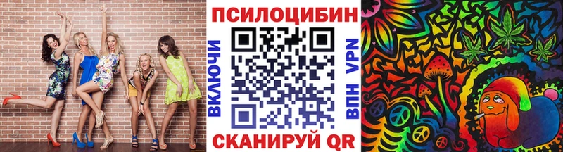 Псилоцибиновые грибы мицелий  Темников 